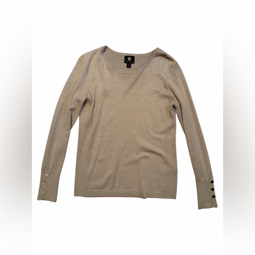 JM Collection Shimmering Beige Sweater